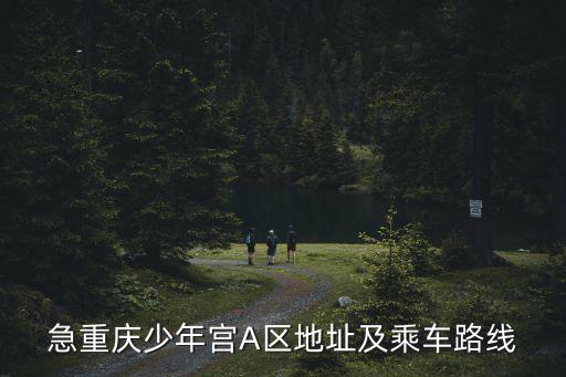 急重慶少年宮A區地址及乘車路線