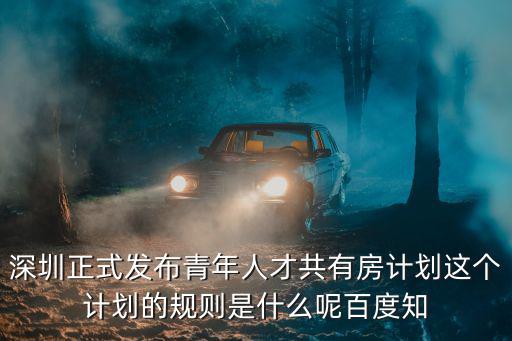 深圳公租房2010年的計劃，深圳公租房申請條件