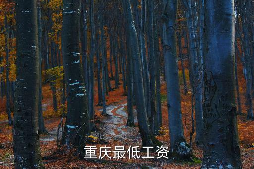 2018重慶市的最低工資額，重慶最低工資