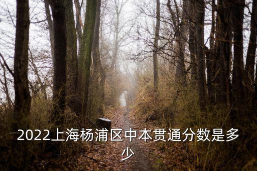 2022上海楊浦區(qū)中本貫通分?jǐn)?shù)是多少