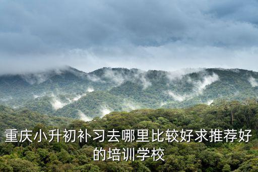 重慶小升初補習去哪里比較好求推薦好的培訓學校
