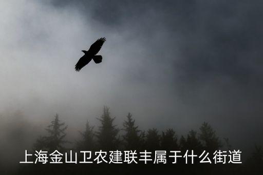上海金山衛農建聯豐屬于什么街道