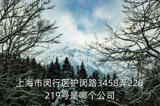 上海市閔行區澳翔鞋業，上海市閔行區護閔路3458弄228219號是哪個公司