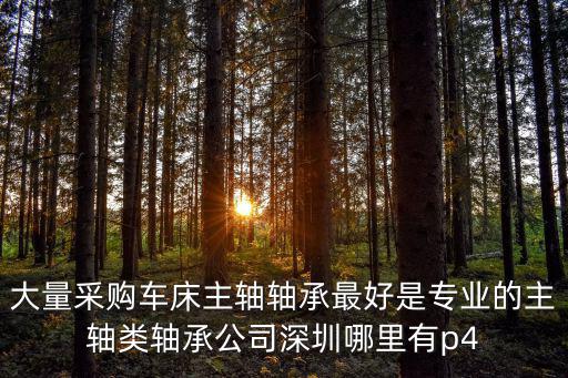大量采購車床主軸軸承最好是專業的主軸類軸承公司深圳哪里有p4