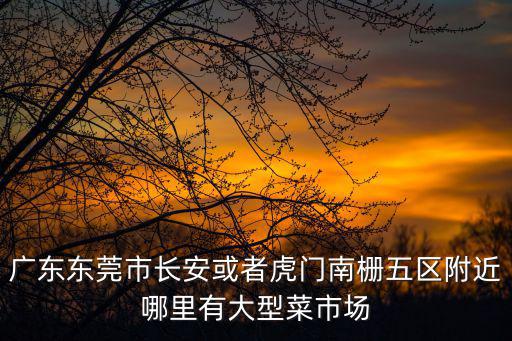廣東東莞市長(zhǎng)安或者虎門(mén)南柵五區(qū)附近哪里有大型菜市場(chǎng)