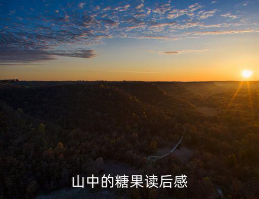 山中的糖果讀后感