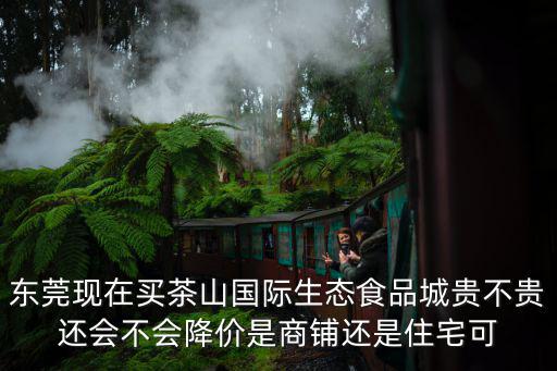 東莞現(xiàn)在買茶山國際生態(tài)食品城貴不貴還會(huì)不會(huì)降價(jià)是商鋪還是住宅可