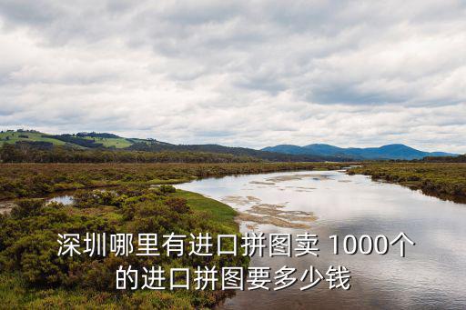  深圳哪里有進(jìn)口拼圖賣(mài) 1000個(gè)的進(jìn)口拼圖要多少錢(qián)