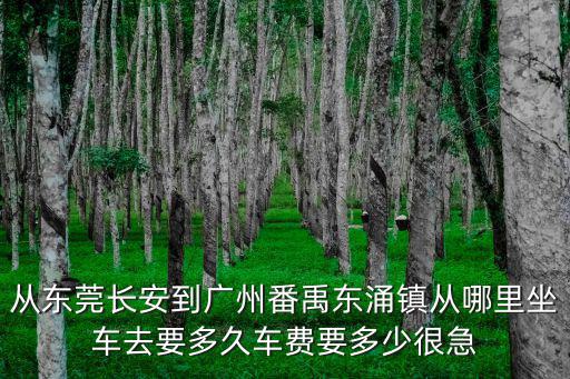 從東莞長安到廣州番禹東涌鎮從哪里坐車去要多久車費要多少很急