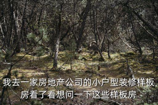 我去一家房地產(chǎn)公司的小戶型裝修樣板房看了看想問一下這些樣板房