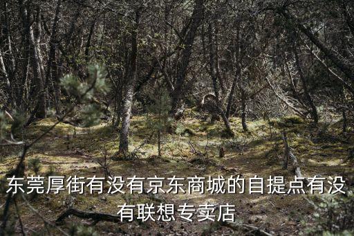東莞厚街有沒有京東商城的自提點有沒有聯(lián)想專賣店