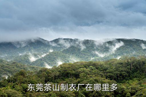 東莞茶山制衣廠在哪里多