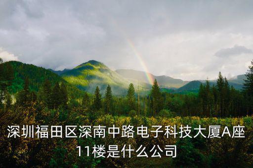 深圳福田區(qū)深南中路電子科技大廈A座11樓是什么公司