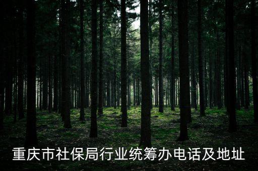 重慶市社保局行業統籌辦電話及地址