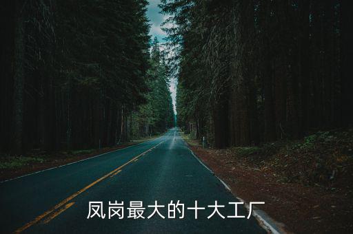 鳳崗最大的十大工廠