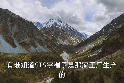 有誰知道STS字端子是那家工廠生產的