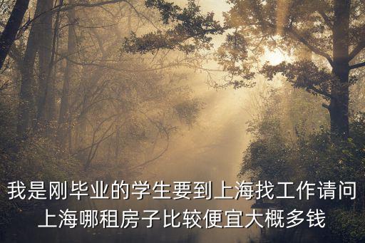 我是剛畢業(yè)的學(xué)生要到上海找工作請(qǐng)問(wèn)上海哪租房子比較便宜大概多錢(qián)