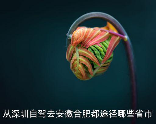 從深圳自駕去安徽合肥都途徑哪些省市