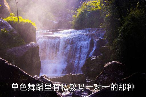 廣州單色舞蹈總部在哪，單色舞蹈里有私教嗎一對一的那種