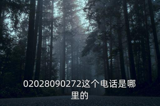 02028090272這個電話是哪里的