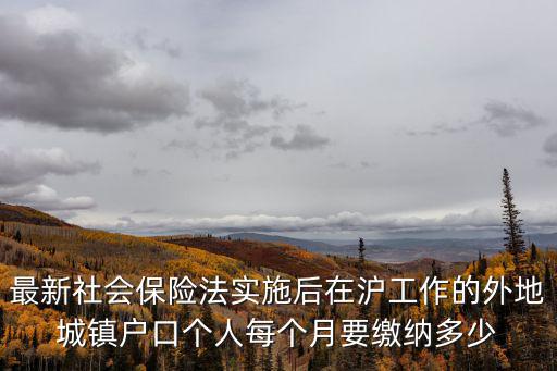 最新社會保險法實施后在滬工作的外地城鎮戶口個人每個月要繳納多少