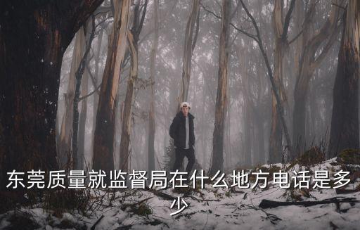 東莞質(zhì)量就監(jiān)督局在什么地方電話是多少
