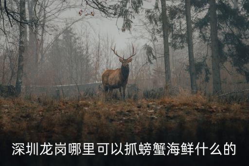 深圳小梅沙海灘能捉螃蟹嗎，深圳大梅沙小梅沙有螃蟹可以抓嗎一般多大