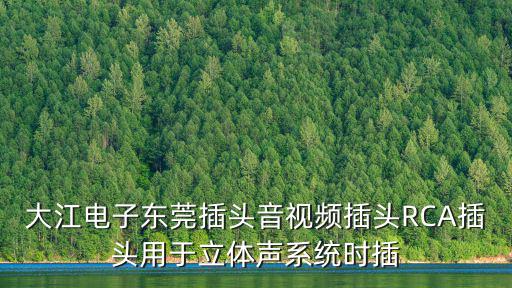 東莞豐匡家用電器有限公司 注塑，大江電子?xùn)|莞插頭音視頻插頭RCA插頭用于立體聲系統(tǒng)時(shí)插