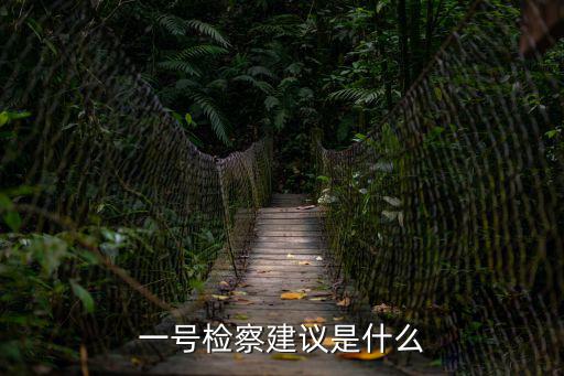 上海市第一號監(jiān)察建議，一號檢查建議是什么