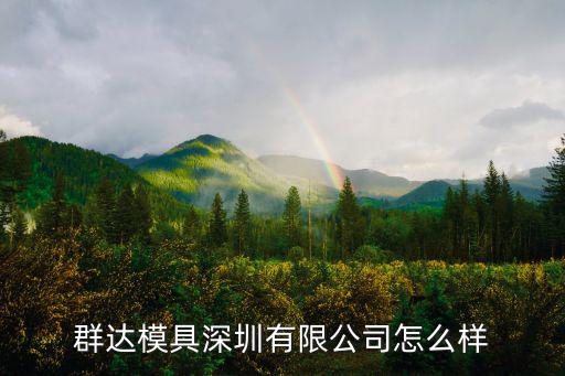 群達模具深圳有限公司怎么樣