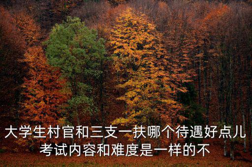 重慶市萬名專業技術人才支農支教支醫選派管理暫行辦 法，什么是三支一扶考試