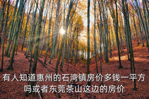 有人知道惠州的石灣鎮(zhèn)房?jī)r(jià)多錢一平方嗎或者東莞茶山這邊的房?jī)r(jià)