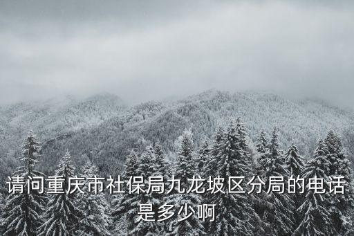 請問重慶市社保局九龍坡區分局的電話是多少啊