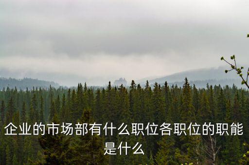 上海市場部十五部，企業的市場部有什么職位各職位的職能是什么