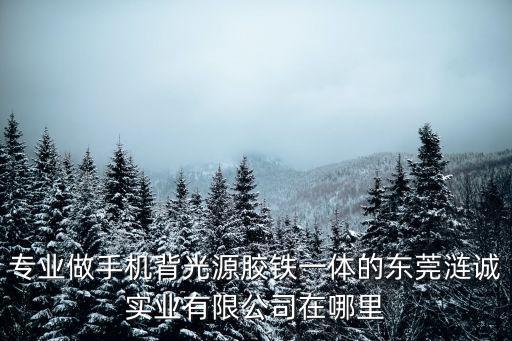 專業做手機背光源膠鐵一體的東莞漣誠實業有限公司在哪里