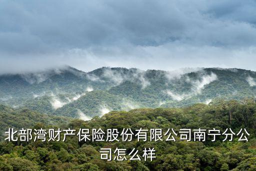 北部灣財產保險股份有限公司南寧分公司怎么樣
