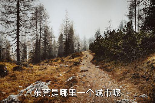 東莞是哪里一個城市呢