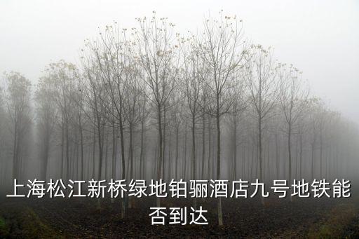 上海松江新橋綠地鉑驪酒店九號(hào)地鐵能否到達(dá)