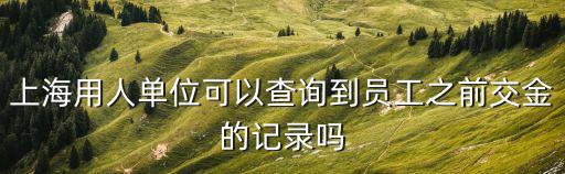 上海用人單位可以查詢到員工之前交金的記錄嗎