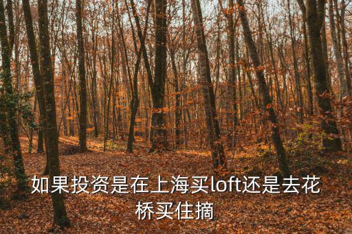 如果投資是在上海買loft還是去花橋買住摘