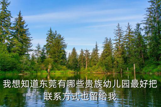 我想知道東莞有哪些貴族幼兒園最好把聯(lián)系方式也留給我
