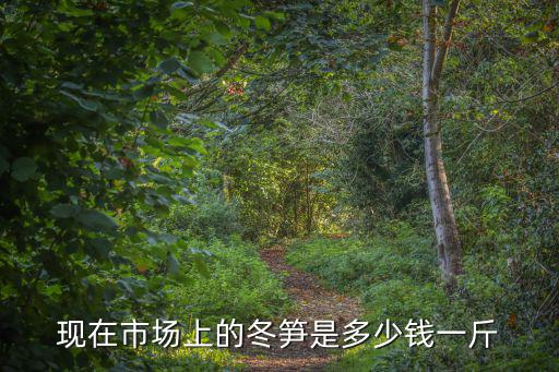 東莞竹筍收購(gòu)，東莞是否有收購(gòu)竹筍干的收購(gòu)經(jīng)銷商我有大量竹筍干待收購(gòu)
