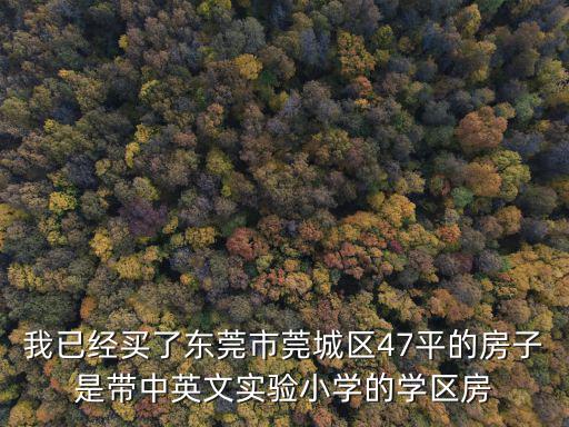 我已經買了東莞市莞城區47平的房子是帶中英文實驗小學的學區房