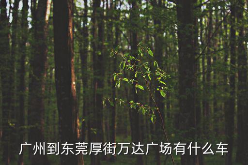 廣州到東莞厚街萬達廣場有什么車