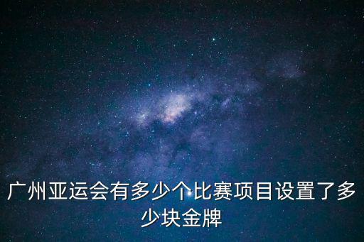 廣州亞運會有多少個比賽項目設置了多少塊金牌