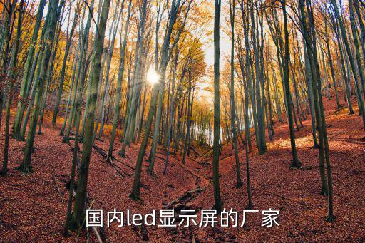 國內led顯示屏的廠家