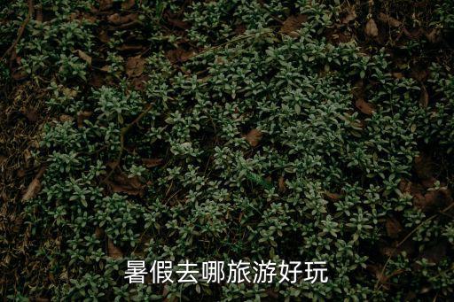 深圳市浪花網絡科技有限公司蘇州，poupoumi和neko是一個牌子嗎
