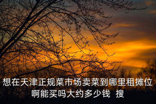 想在天津正規菜市場賣菜到哪里租攤位啊能買嗎大約多少錢  搜
