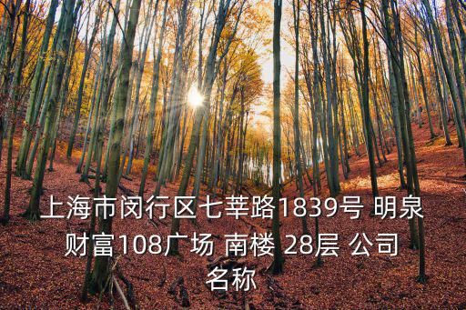 上海市閔行區七莘路1839號 明泉財富108廣場 南樓 28層 公司名稱