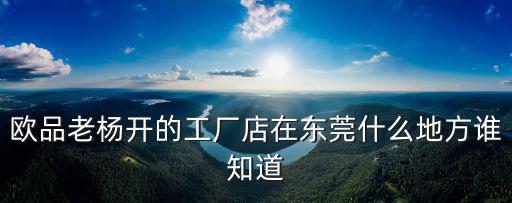 歐品老楊開的工廠店在東莞什么地方誰知道